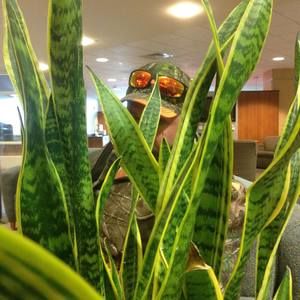 Meet your Posher, John